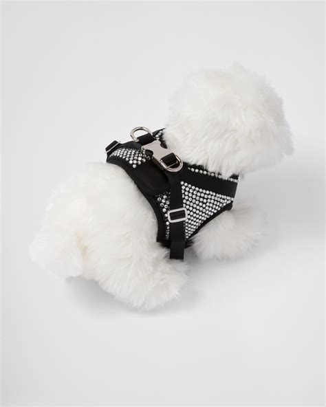 harness bag prada|expensive dog collars.